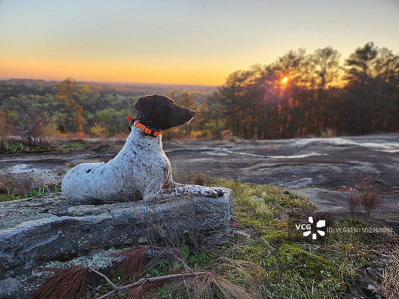 佐治亚州石山日落时分岩石上的指示标特写图片素材