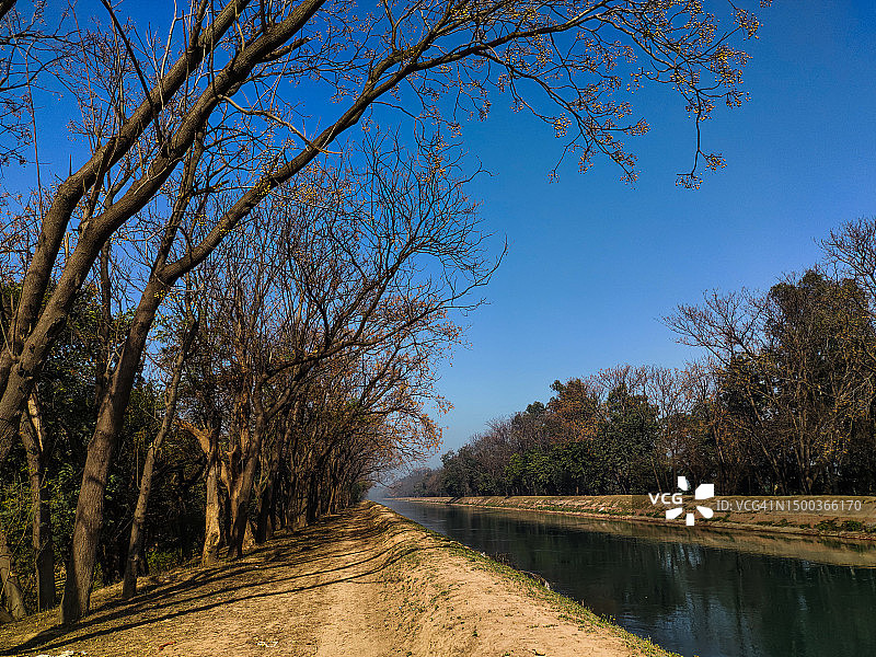 印度马哈拉施特拉邦那格浦尔分部，树木旁的空旷道路图片素材