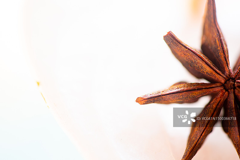 印度孟买白色背景上的八角茴香特写图片素材