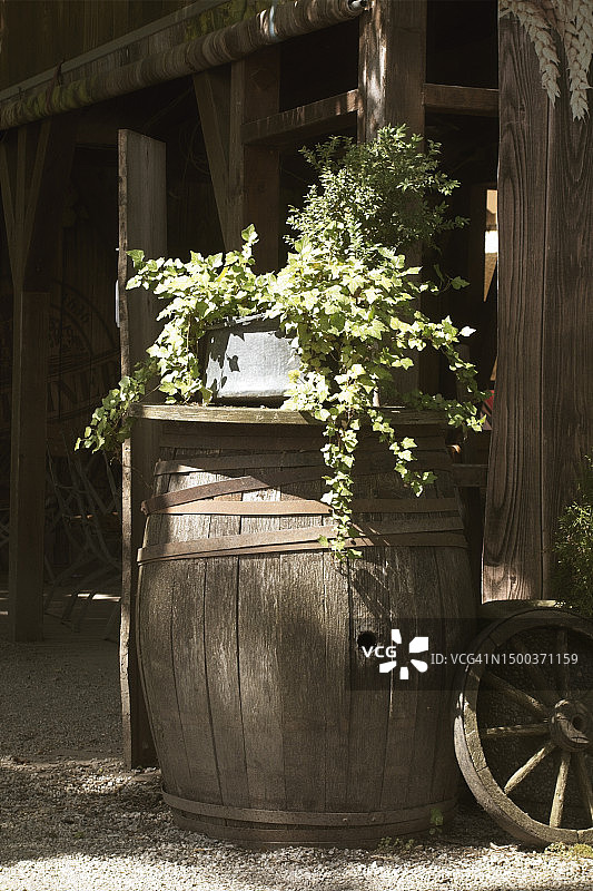 木制啤酒桶图片素材