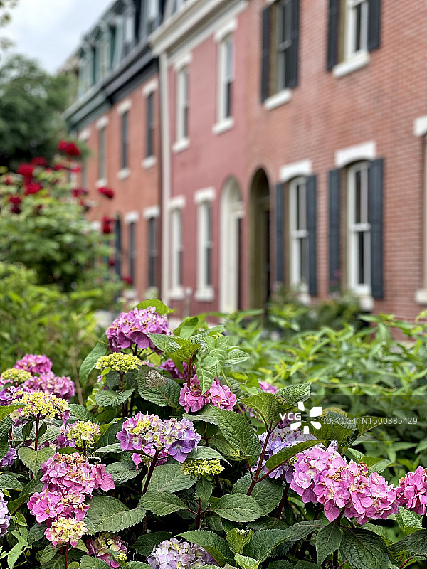 费城南部社区的排屋和社区花园图片素材