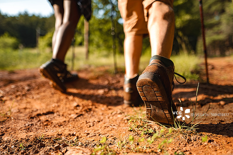 阳光明媚的日子里在森林中徒步旅行的两人图片素材