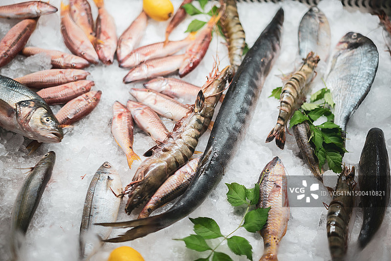 鱼市柜台上冰冻的各种新鲜鱼类图片素材