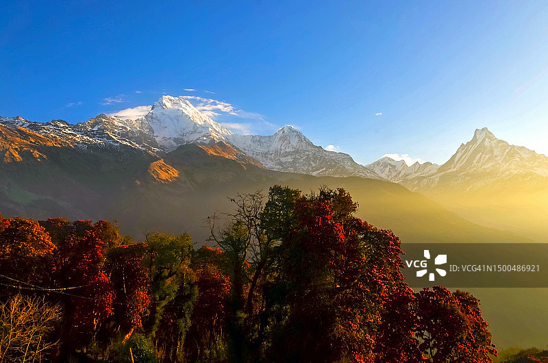从尼泊尔塔达帕尼村日出时看到的安娜普尔纳山脉图片素材