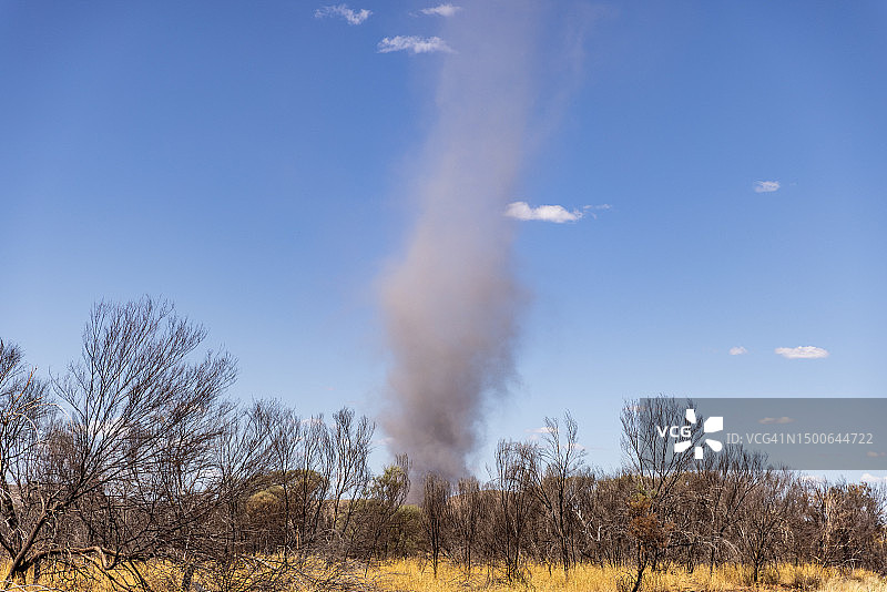 在澳大利亚北部领地塔纳米沙漠的阳光明媚的日子里，穿过树木拍摄的尘卷风图片素材