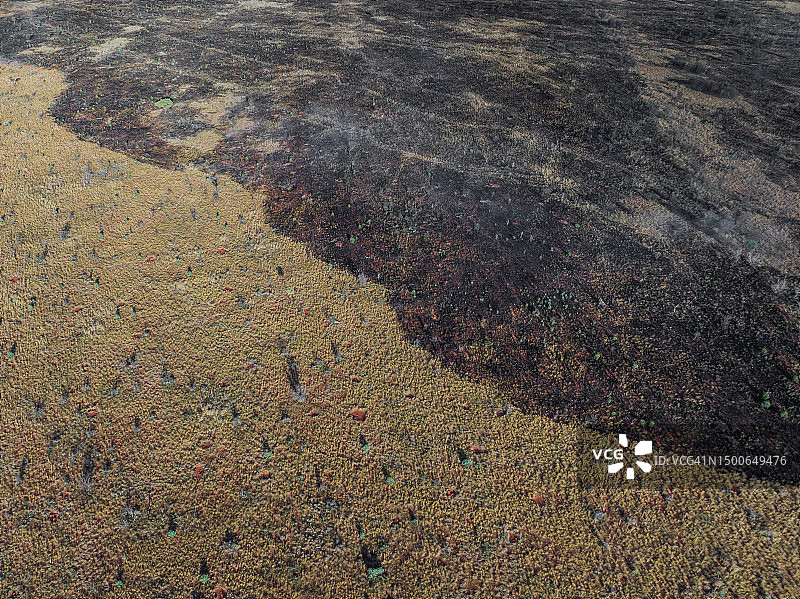 澳大利亚北部地区，草地火灾后烧毁土地边缘的航拍影像图片素材