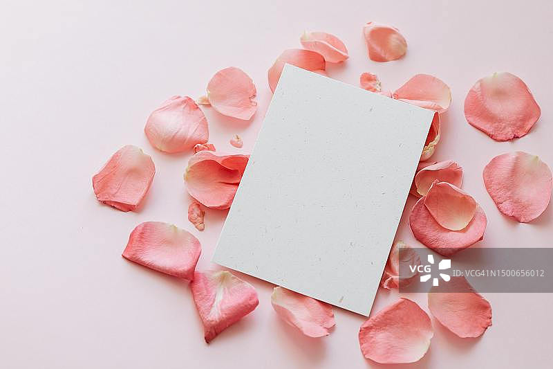 印度尼西亚的粉彩玫瑰背景图片素材