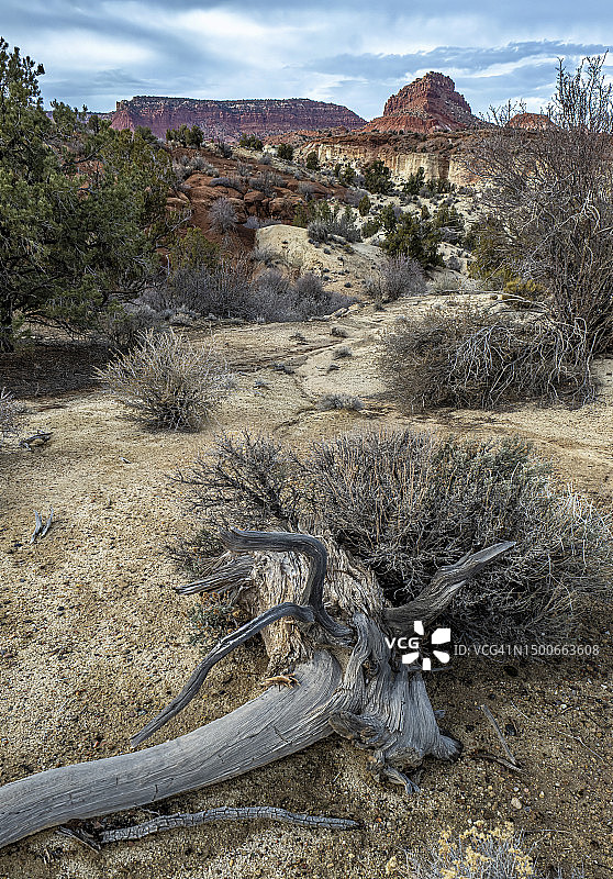 犹他州岩层景观图片素材