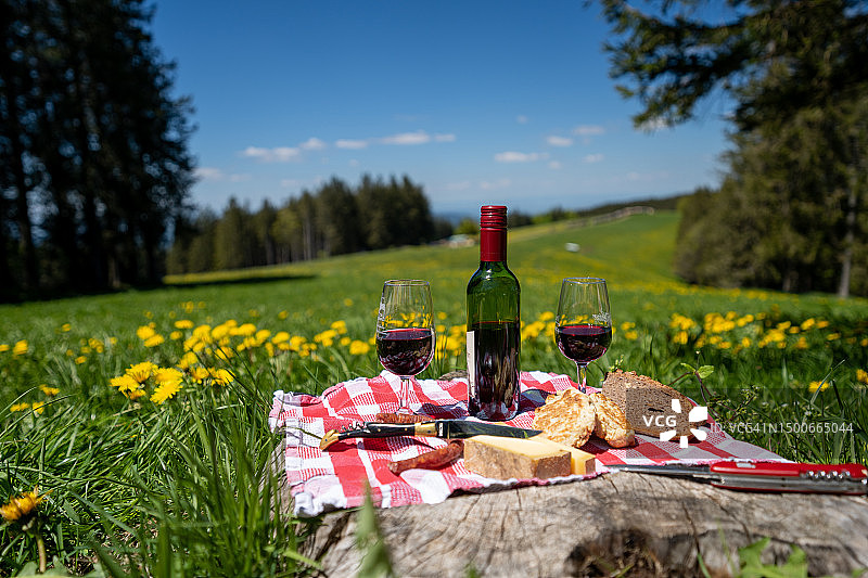 在德国布赖特瑙牧场上的徒步野餐图片素材