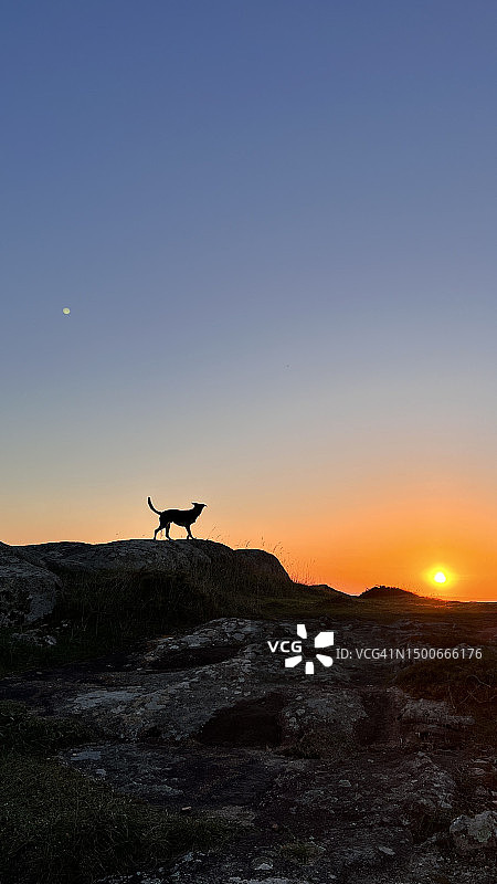日落时分，西班牙卡尔诺塔岩石上狗的轮廓，背景是晴朗的天空图片素材