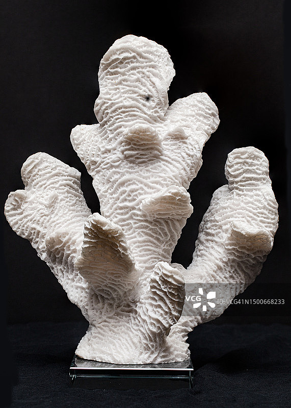 美国珊瑚雕塑堆叠照片图片素材