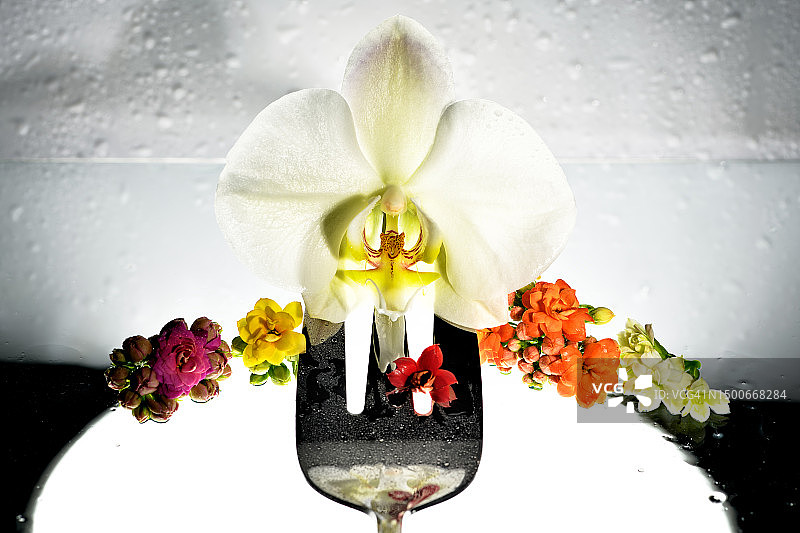 意大利佛罗伦萨：容器里的鲜花特写图片素材