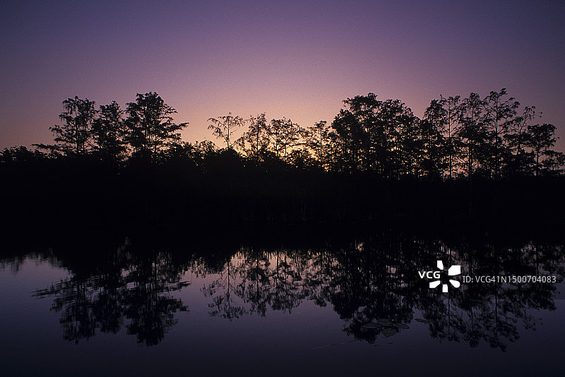 佛罗里达大沼泽地国家公园日落与水中树木倒影图片素材