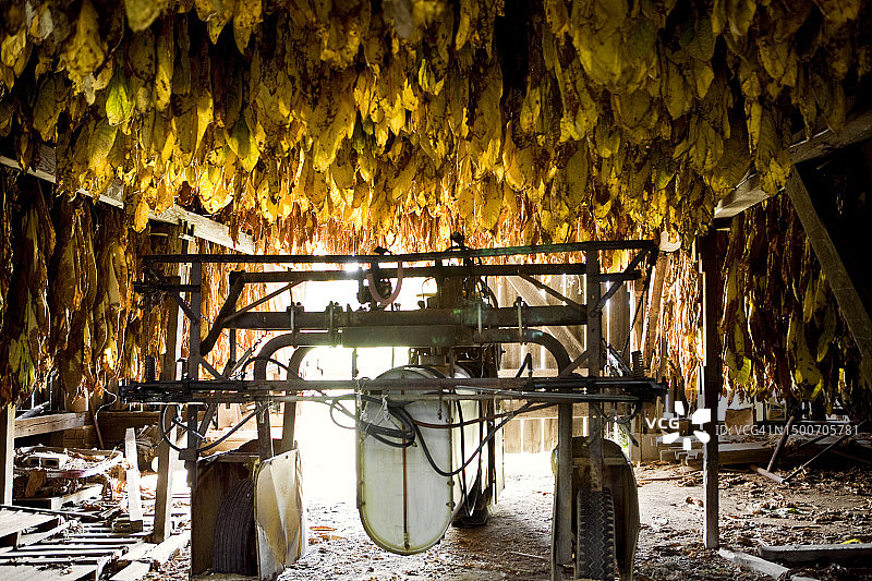 烟草谷仓里的农用机械图片素材