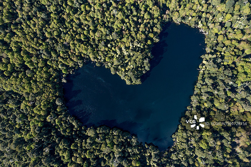 智利科拉松泻湖心形景观航拍：洛斯 Lagos 地区 Liquine 附近森林环绕图片素材