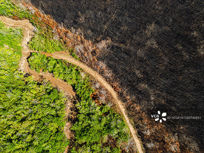 野火破坏鸟瞰图图片素材