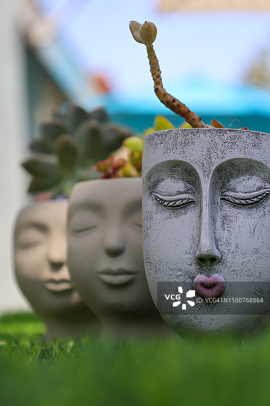 人脸花盆图片素材