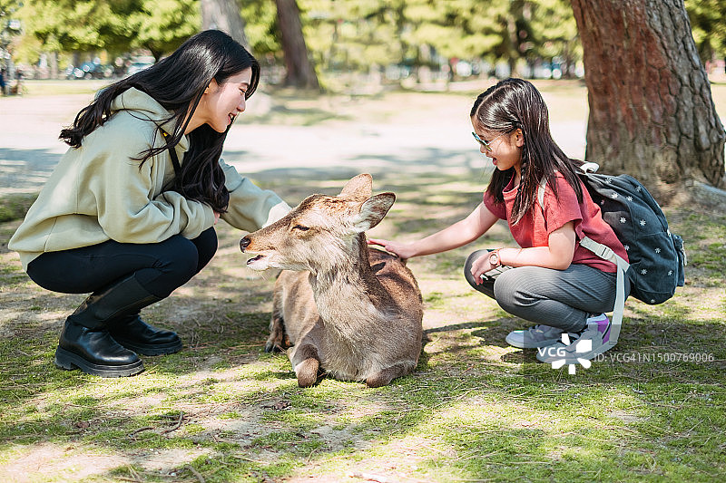 快乐亚洲女人女儿日本奈良公园轻抚鹿图片素材