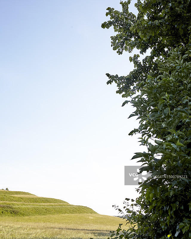 美丽的多塞特图片素材