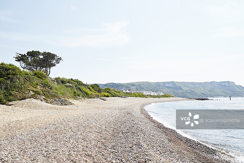 美丽的多塞特图片素材