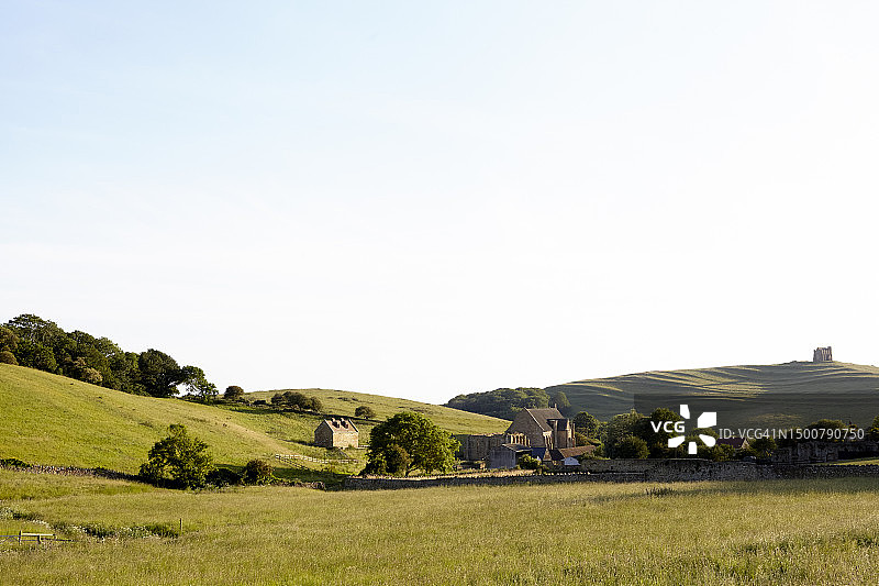 美丽的多塞特图片素材
