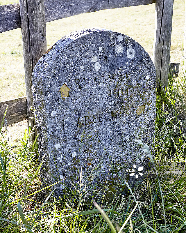 美丽的多塞特图片素材