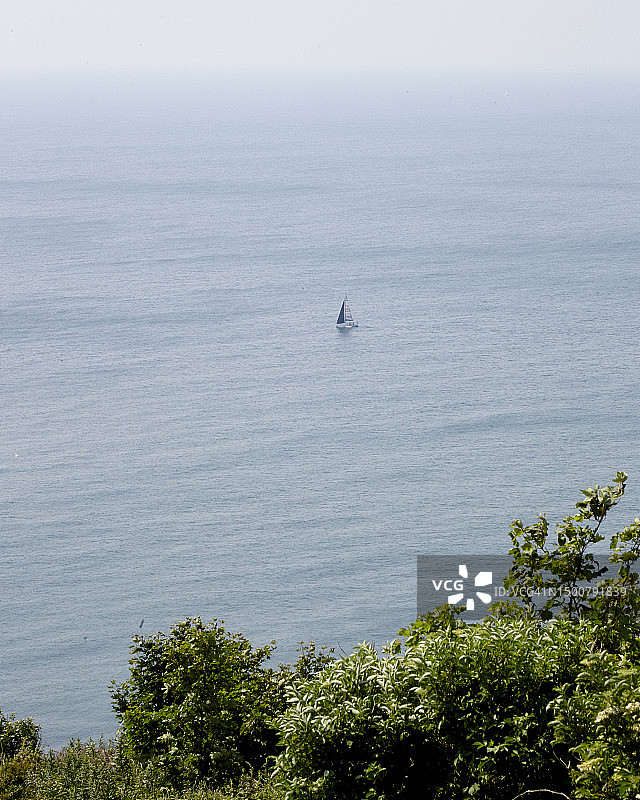 美丽的多塞特图片素材