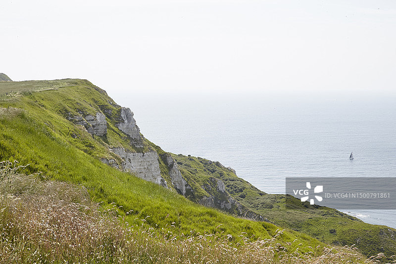 美丽的多塞特图片素材
