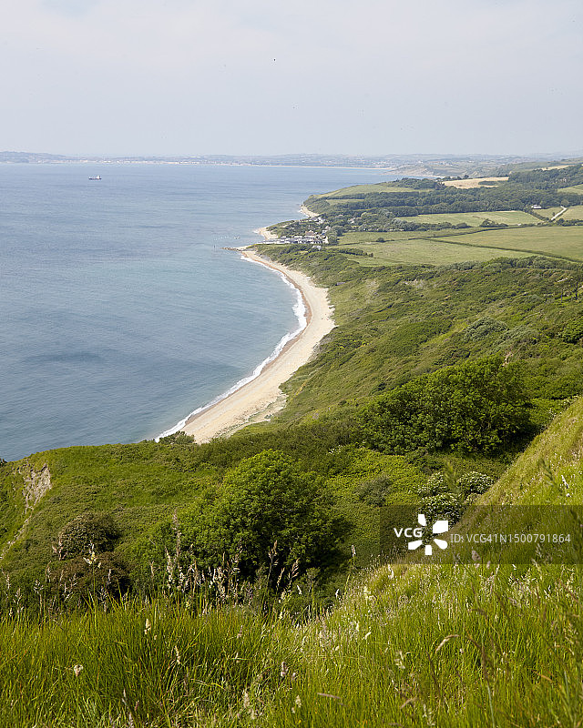 美丽的多塞特图片素材