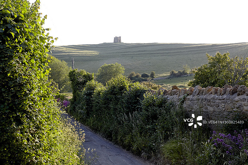 美丽的多塞特图片素材