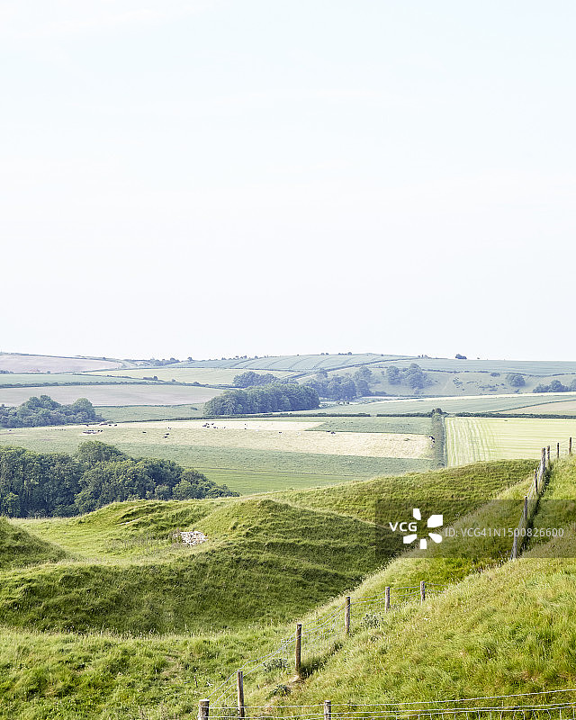 美丽的多塞特图片素材