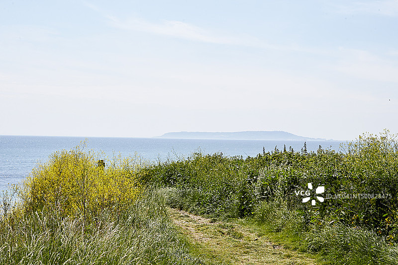 多塞特3图片素材