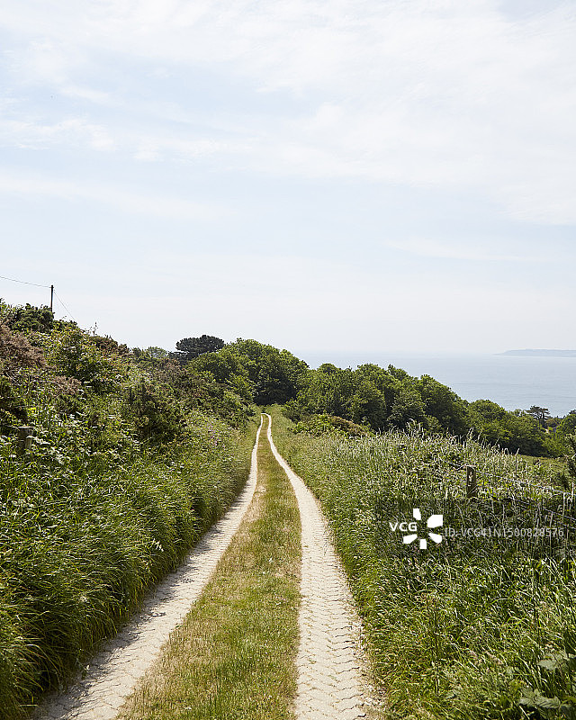 多塞特3图片素材