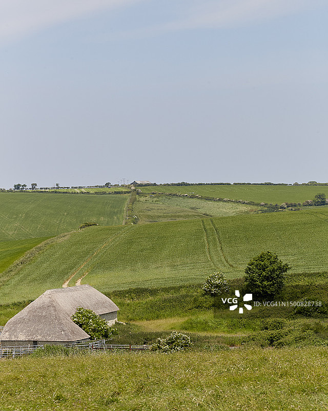 多塞特3图片素材
