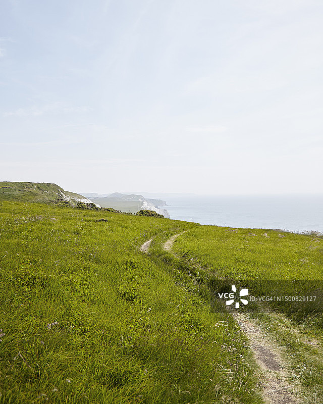多塞特3图片素材