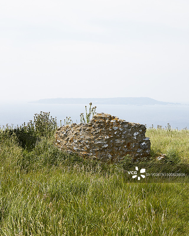 多塞特3图片素材