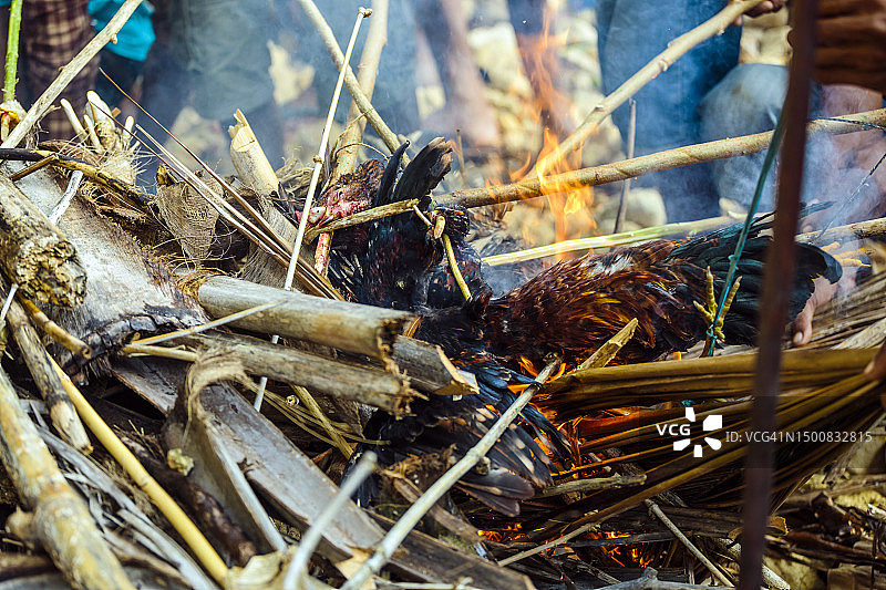 印度尼西亚松巴岛帕索拉节祭祀活动图片素材
