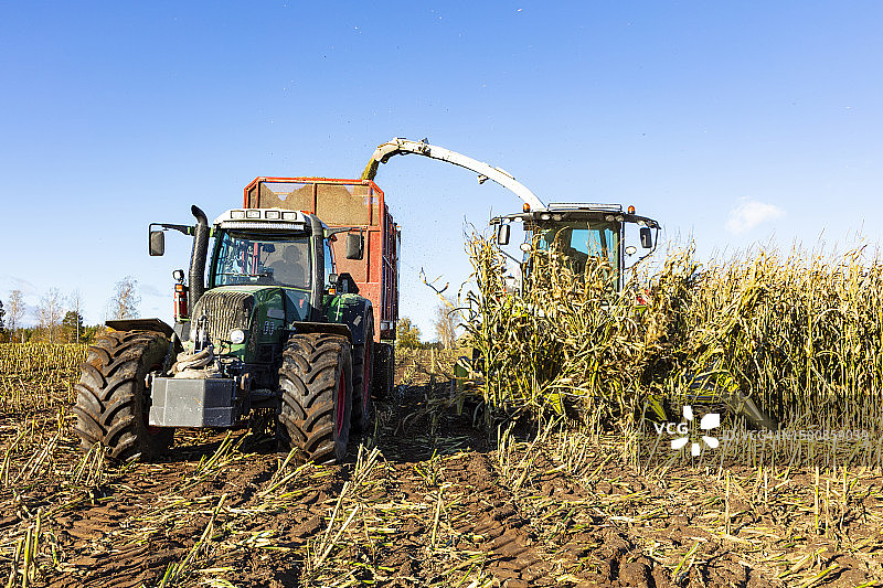 收割机和拖拉机收割玉米图片素材