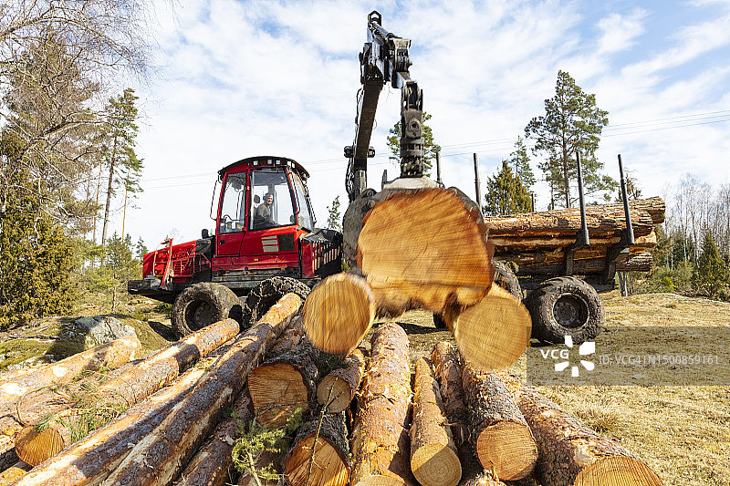森林机械装载树木原木图片素材