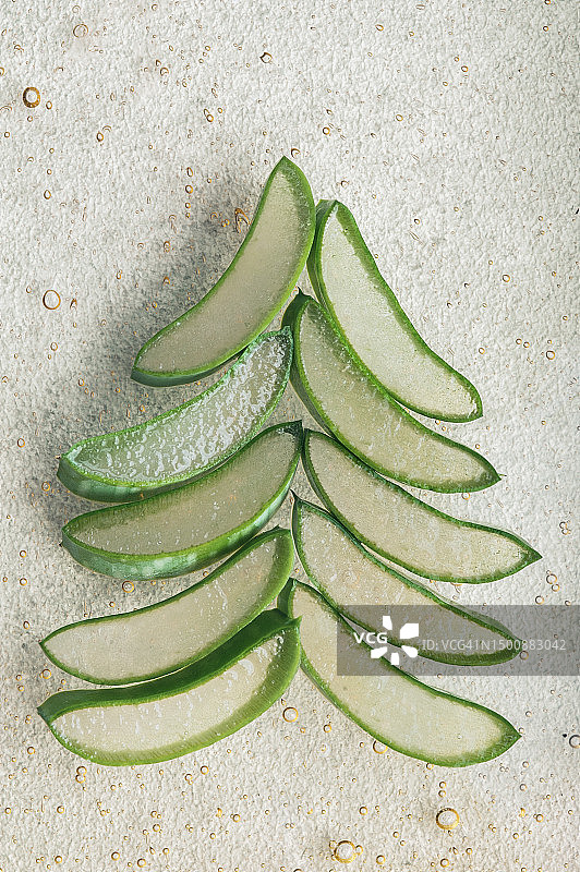 芦荟圣诞树图片素材