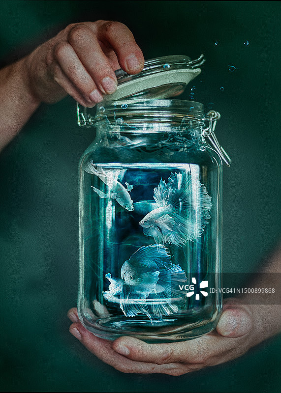 奇幻玻璃罐中的美丽鱼儿图片素材