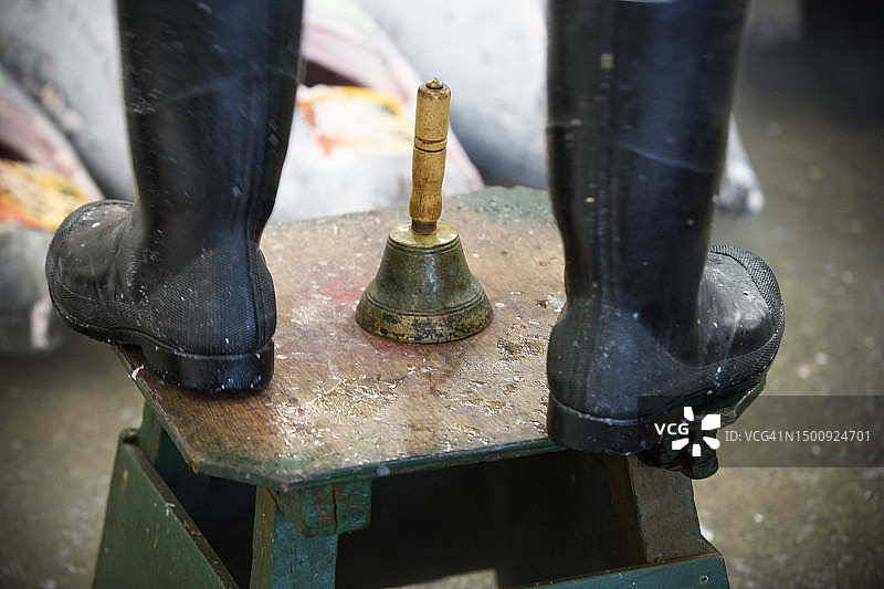 筑地鱼市图片素材