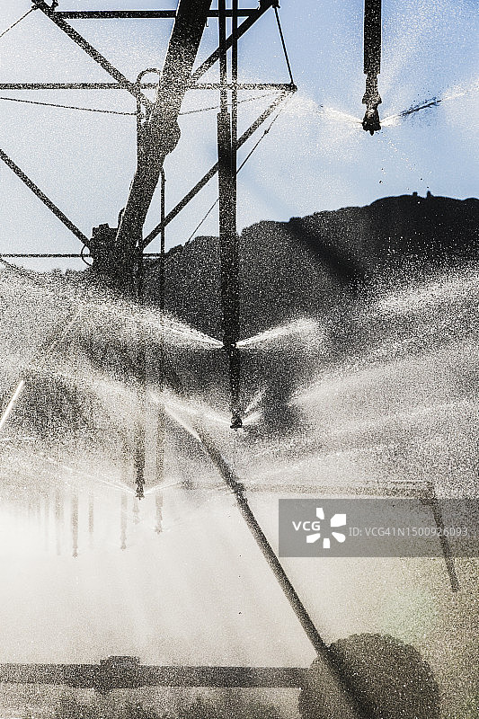 华盛顿州的灌溉喷头特写图片素材