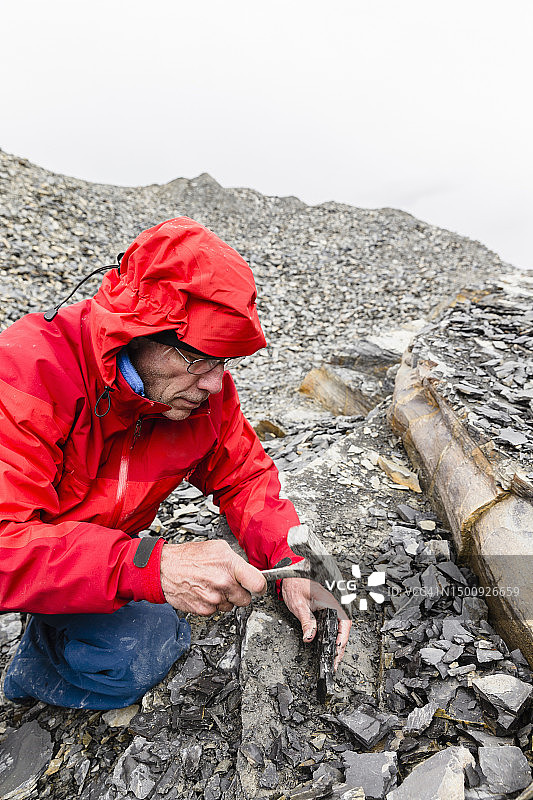 寻找三叶虫的男人图片素材