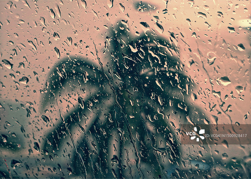 菲律宾马尼拉窗外有雨滴的棕榈树景观图片素材