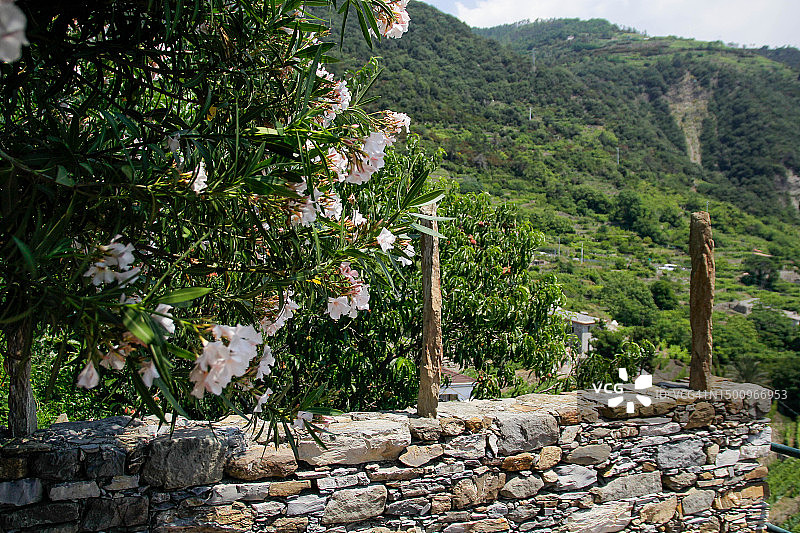 科尔尼利亚石墙图片素材