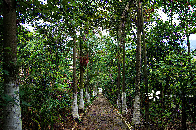 墨西哥韦拉克鲁斯州科阿特佩克市库莱布拉斯山[蛇山]上的步行小路图片素材