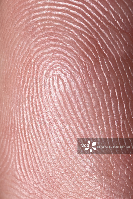手指上的指纹微距摄影图片素材