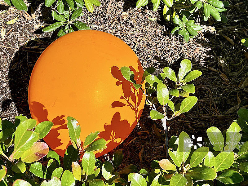 带有植物阴影的橙色气球图片素材