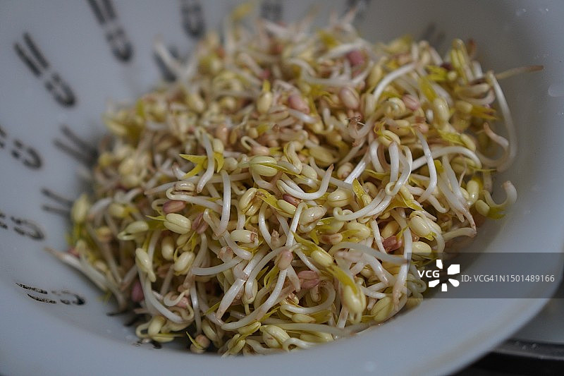 白 Colander 中的豆芽图片素材